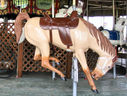Fiberglass Jumper